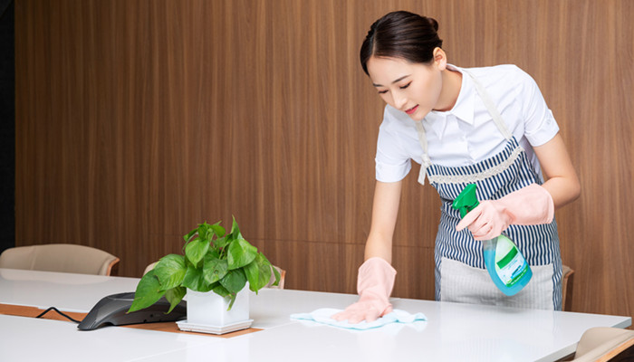 家政服務(wù)的范圍與保潔項目詳解